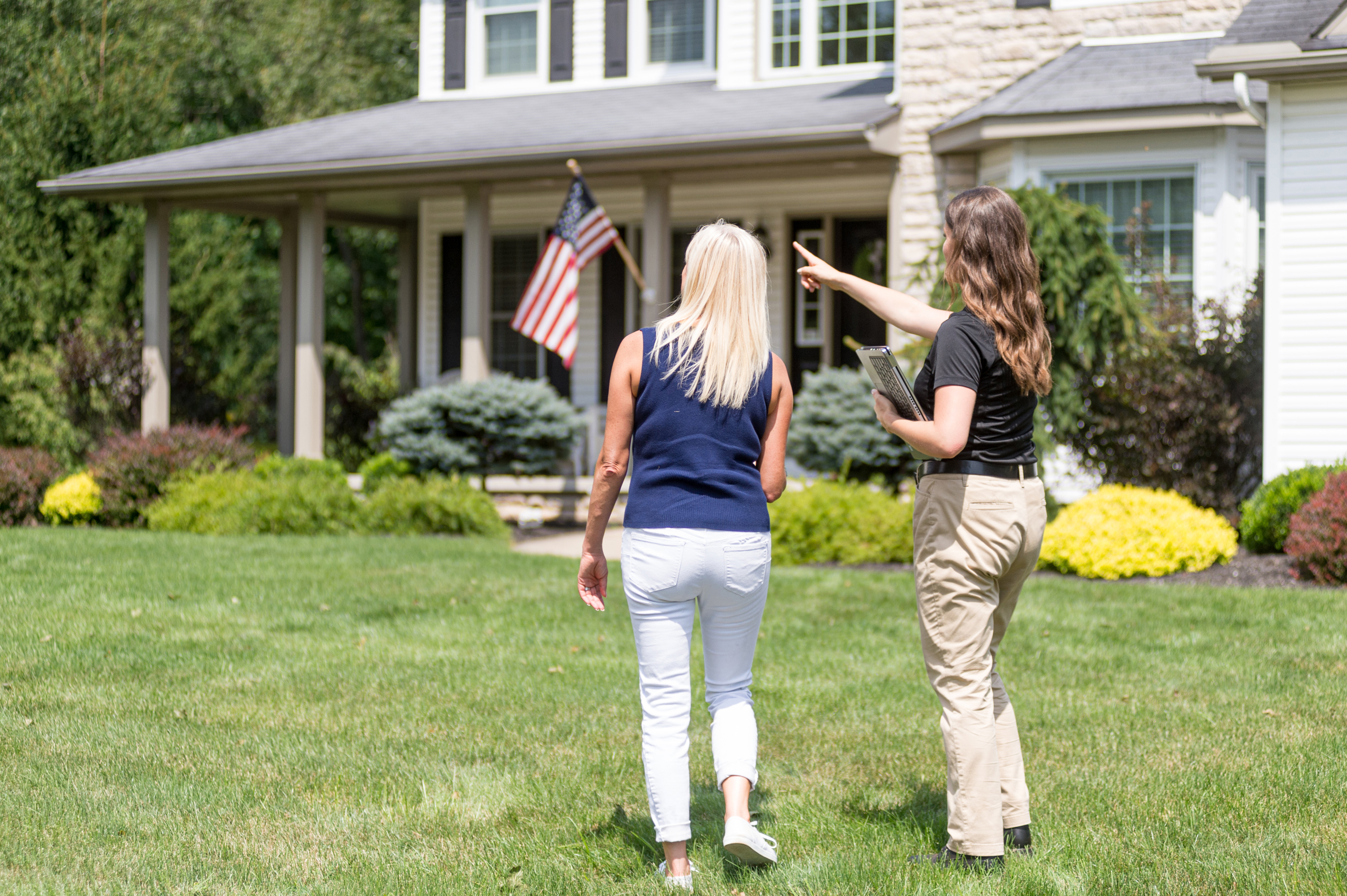 Arborist Consultation