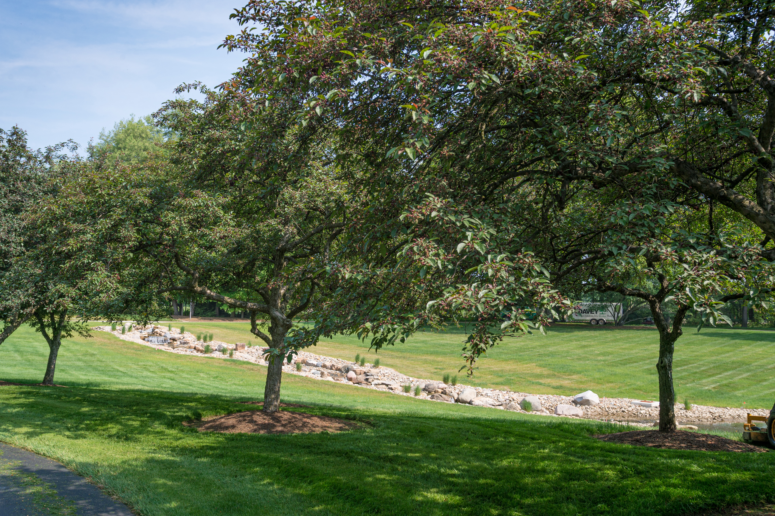 Commercial Tree Risk