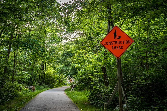 Tree Damage During Construction